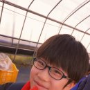 벧엘농장3 이미지