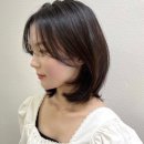 수진2호 이미지