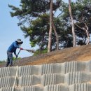 거적 | 법면녹화 습식 코코아네트 짚거적 덮기 친환경 소재들로 사용해서 자연을 보호하는 방법