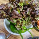 세븐일레븐 강릉포남중앙점 | 강릉 포남동 맛집 포남신숯불갈비:) 돼지갈비 맛집 후기