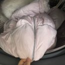 미통세탁 | 겨울 구스 다운 롱패딩 세탁! 종이장처럼 얇아졌을 때 되살리는 방법