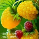 굿모닝 ㅡ5월15일 ㅡ어제는 세종대왕 탄신일ㅡ부처님 오신날 ㅡ 스승의날 ㅡ가정의날 이였죠 이미지