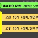 마초짐 이미지