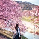 스튜디오오와오와 이미지