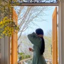 커피 플라워 이미지