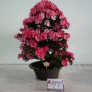 호암체육관 이미지