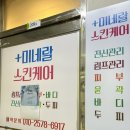 미네랄 피부&전신관리 인천논현점