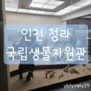 인천 서구 실내 아이랑 가볼만한곳 무료 국립 생물 자원관 생생채움 생생숲 주말에 다녀온 후기