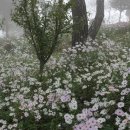 충의공원(충혼탑) 이미지