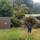 2026년 8월 28/29일 Te Tuhi Track to Te Whare Okioki Hut 이미지