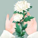 (주)엔디소프트 이미지