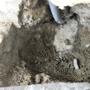 경기도 수원시 영통구 매여울로57번길 이미지