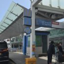 멍멍택시1 이미지