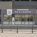 호수동물병원 네이버블로그