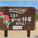형산강 장미원 이미지