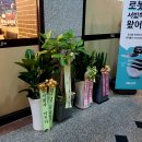 주식회사 진원