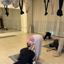 오늘의움직임요가스튜디오광교 | 수원 광교 임산부요가 오늘의 움직임 광교점 내돈내산 후기