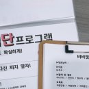 비비핏