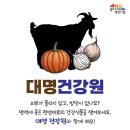 대명건강원 - 중랑구 용마산로118길 91 | 대명건강원