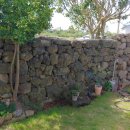 한원소담 이미지