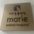 삼계동물병원 이미지