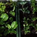 하계역 1번출구 이미지