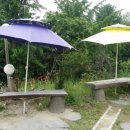 아산보양식 이미지