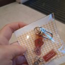 원더랜드 | 260111 원더랜드 페스티벌 후기