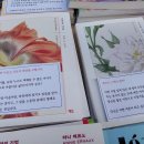 2026 서울국제도서전 6월 25일자 후기_SF와 이야기 한가득