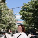 [내돈내산] 제니하우스 염색후기 2탄