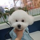 대빵하우스 이미지