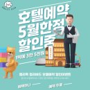 강남유치원 | 양재동 강아지호텔 미용 애견 유치원까지, 강남 켈리독 후기