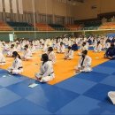 정도 유도 체육관 이미지