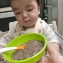[+254] 8개월 이유식 양 여행용 푸드케어 클레 중기 이유식 준비물 후기