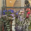 7513 | 압구정꽃집 기념일 상견례 꽃다발 아네트 플라워 안다즈 강추