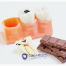 이베스트치과 네이버블로그