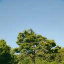 ◈강원도 양양의 명소와 맛집들여행◈2025.05.23. 이미지