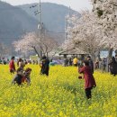 하맹방1리마을회관 이미지