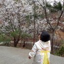 정원민박 이미지