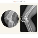 에스엘서울병원 이미지