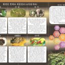 고려인삼제품 이미지