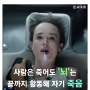 사람이 죽을 때 뇌는 어떻게 받아들일까. 이미지