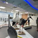 동송농장 | '중장년 청춘문화공간 후기:강원 철원'DMZ, 나를 무장해제해요