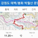 장성터널 Daum카페