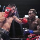 J World boxing 이미지