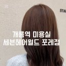 세븐헤어월드 이미지