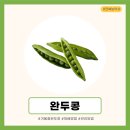 고려농약사 이미지