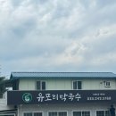 유포리막국수 | 춘천 유포리 막국수 솔직후기