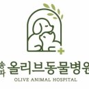 올리브동물병원 이미지