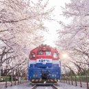 성산제관 드림솔라 | 🌟혼자여행 창원시 자연과 힐링 여행 가이드🌟